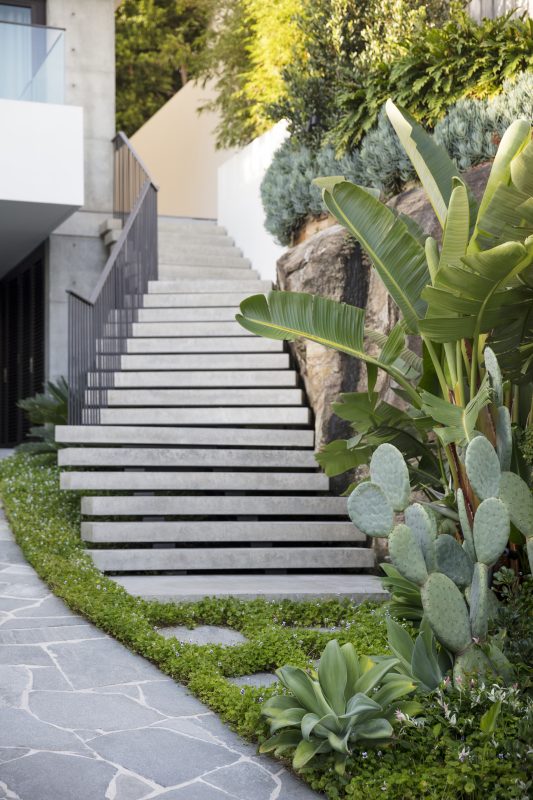 Cantilevered-Concrete-Staircase-Softened-With-Lush-Landscaping