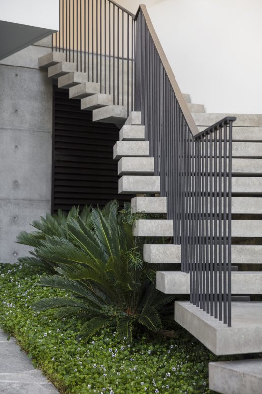 Accent-Planting-Features-Below-Floating-Concrete-Staircase