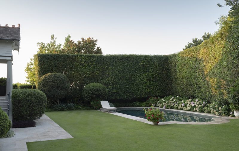 Rear-Garden-with-Pool-Hedge