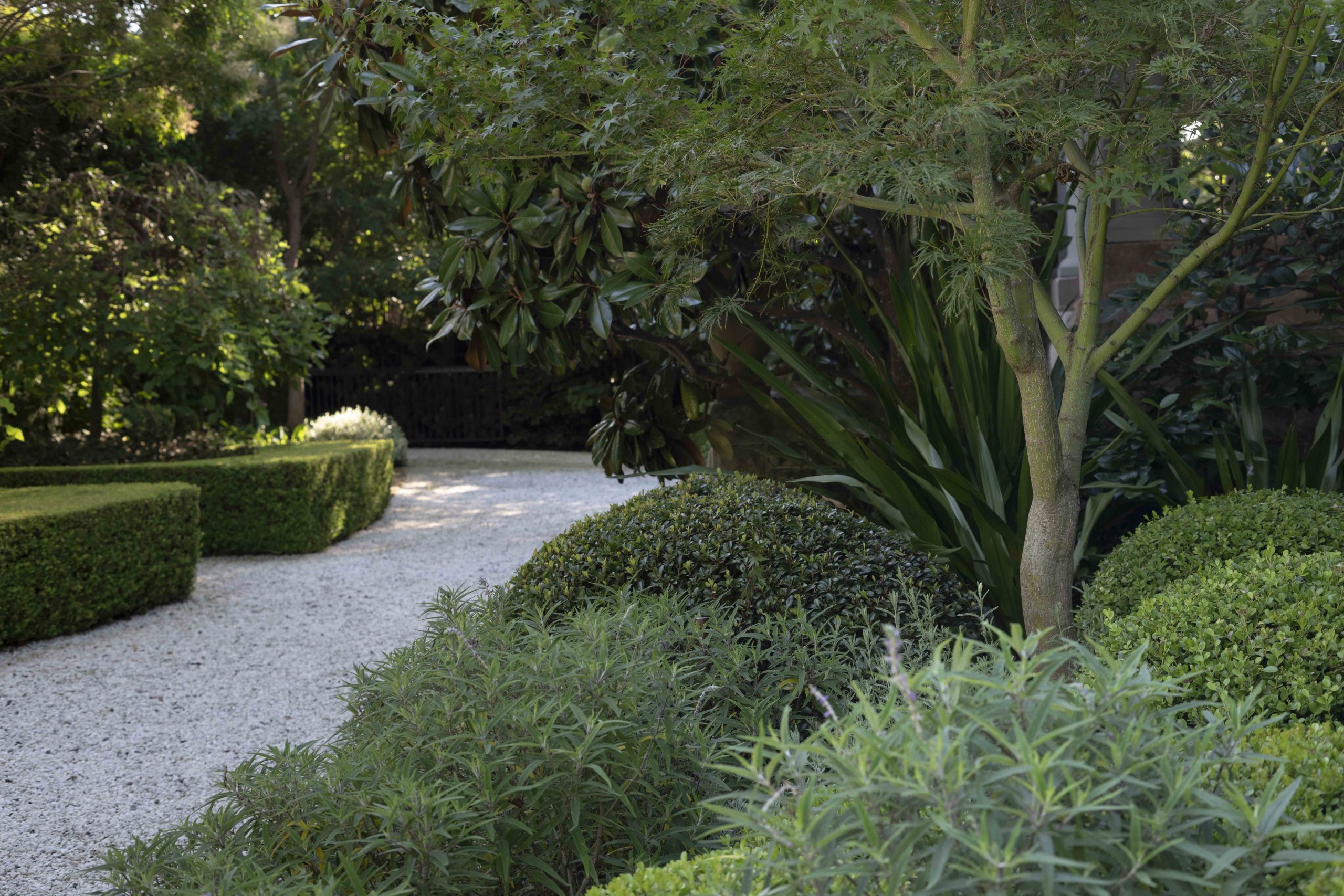 04 Wyer Co Mosman Grounds Garden Bed Detail Photography by Nicholas Watt scaled