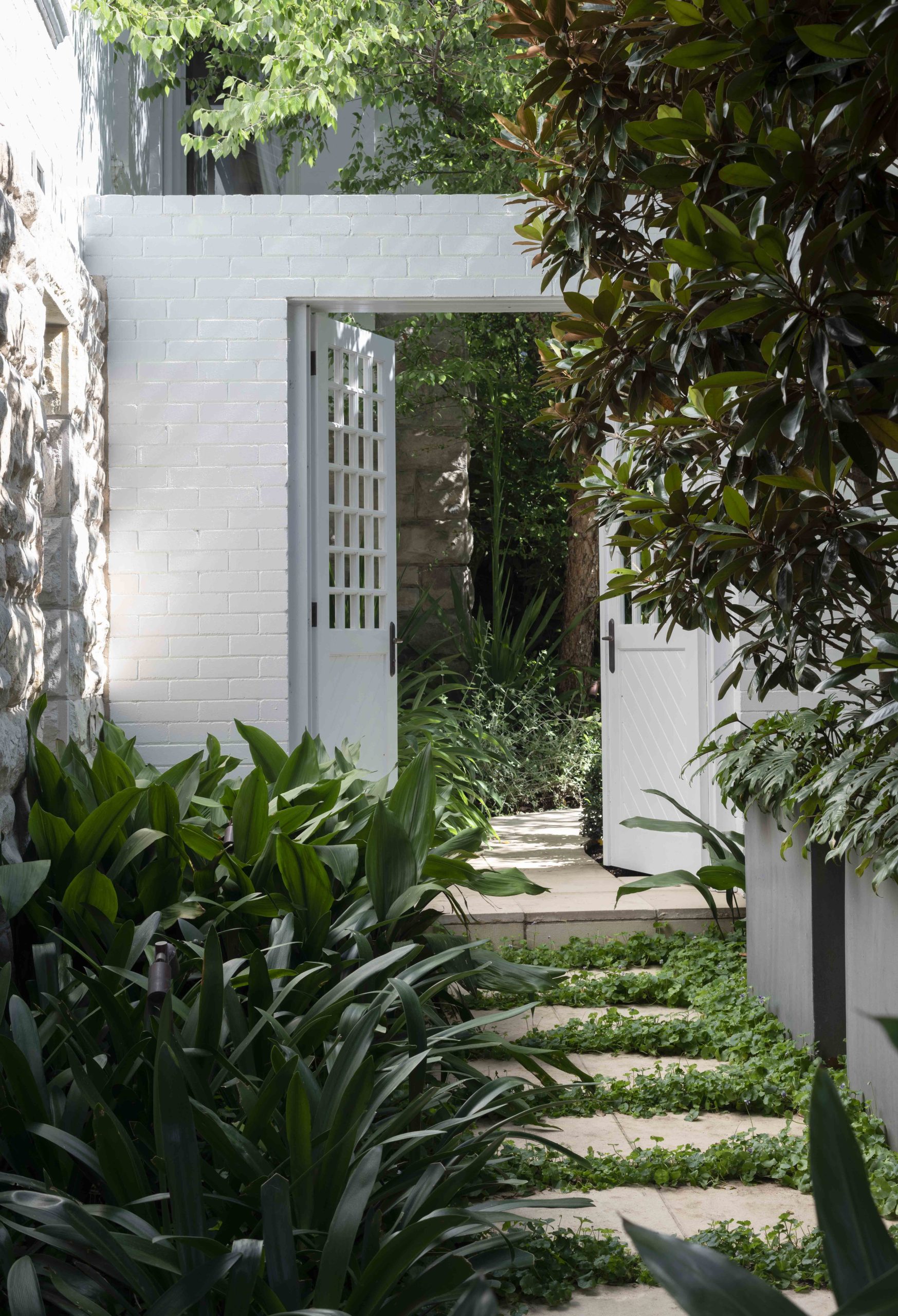 A functional yet beautiful glass and timber gate frames views to a layered garden bed. Photo by Wyer & Co. | Landscape Design on January 09, 2023. Decorative gate is a defining feature of this federation-style home is Sydney’s Mosman.