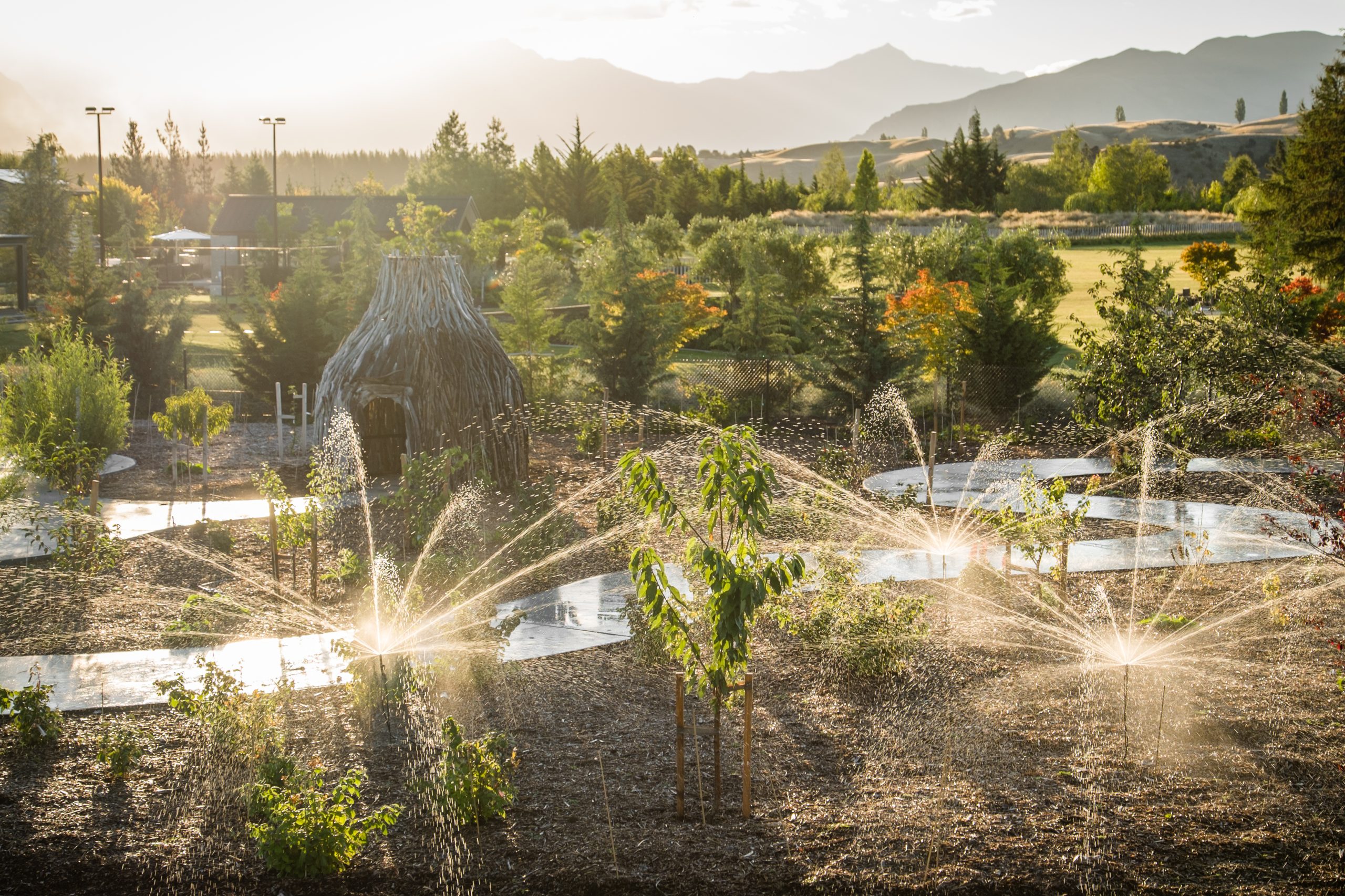 Undulating topography and an abundance of greenery defines New Zealand landscape.