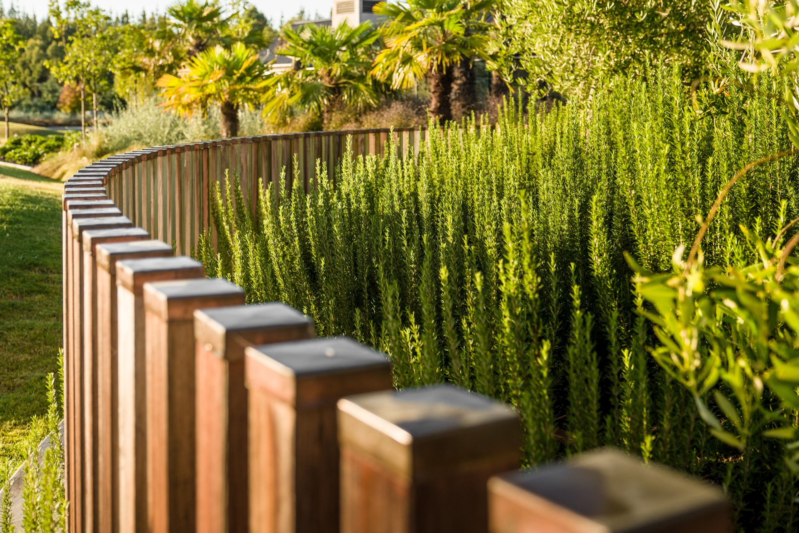 A functional yet beautiful timber feature framed by a layered garden bed.