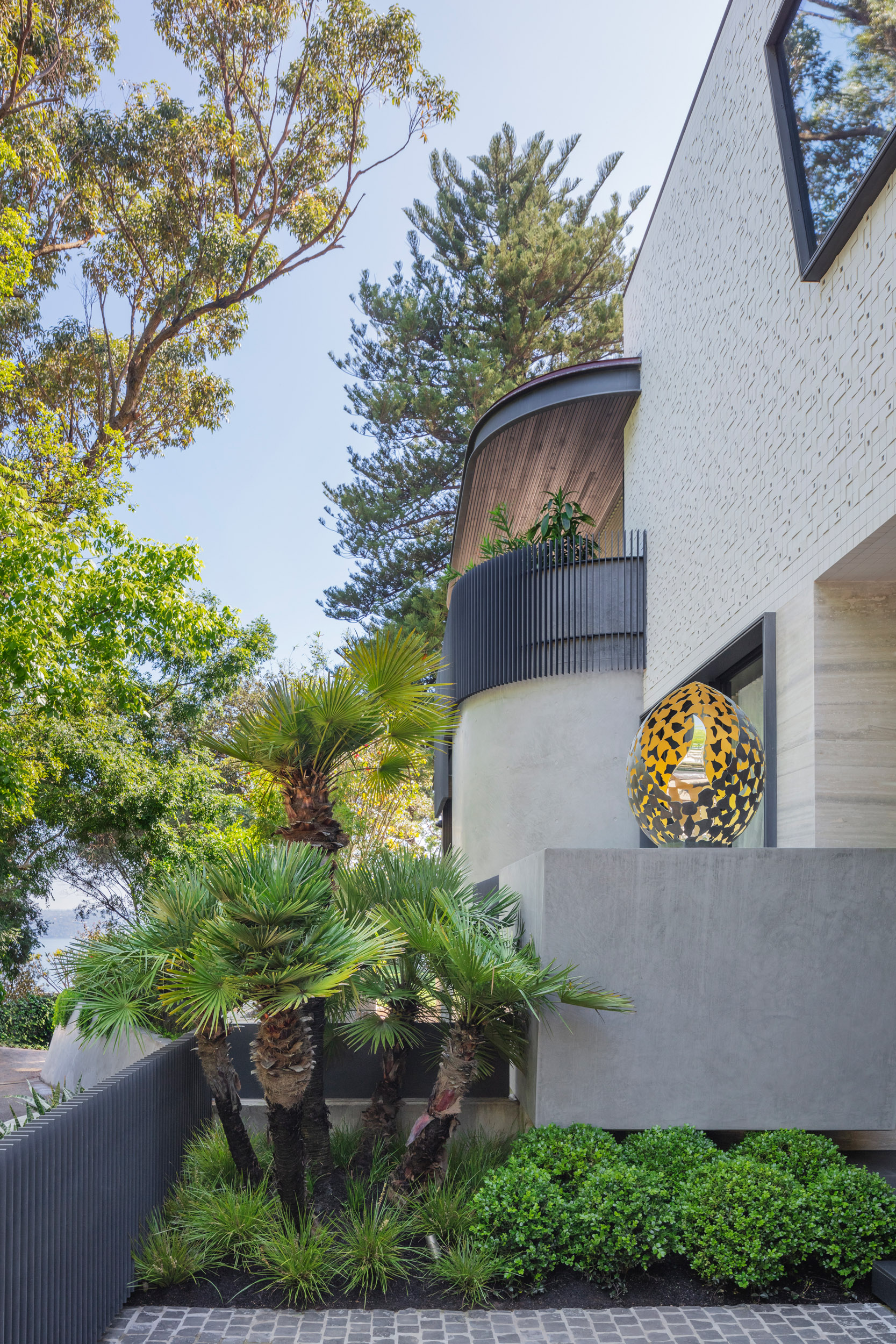 European fan palms offset clean architectural lines at Sydney property.