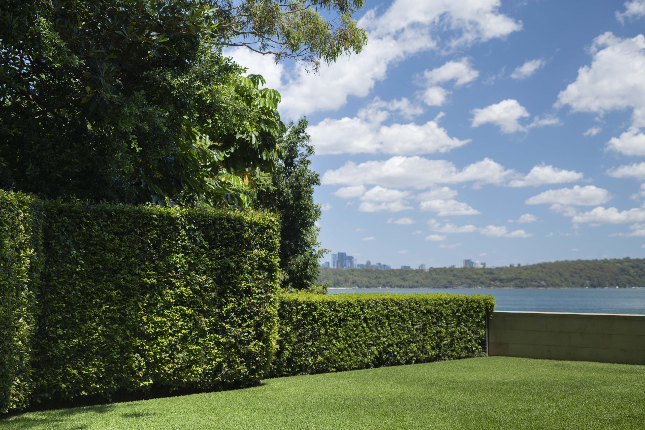 Hardwearing succulents provide privacy and protection from the elements.