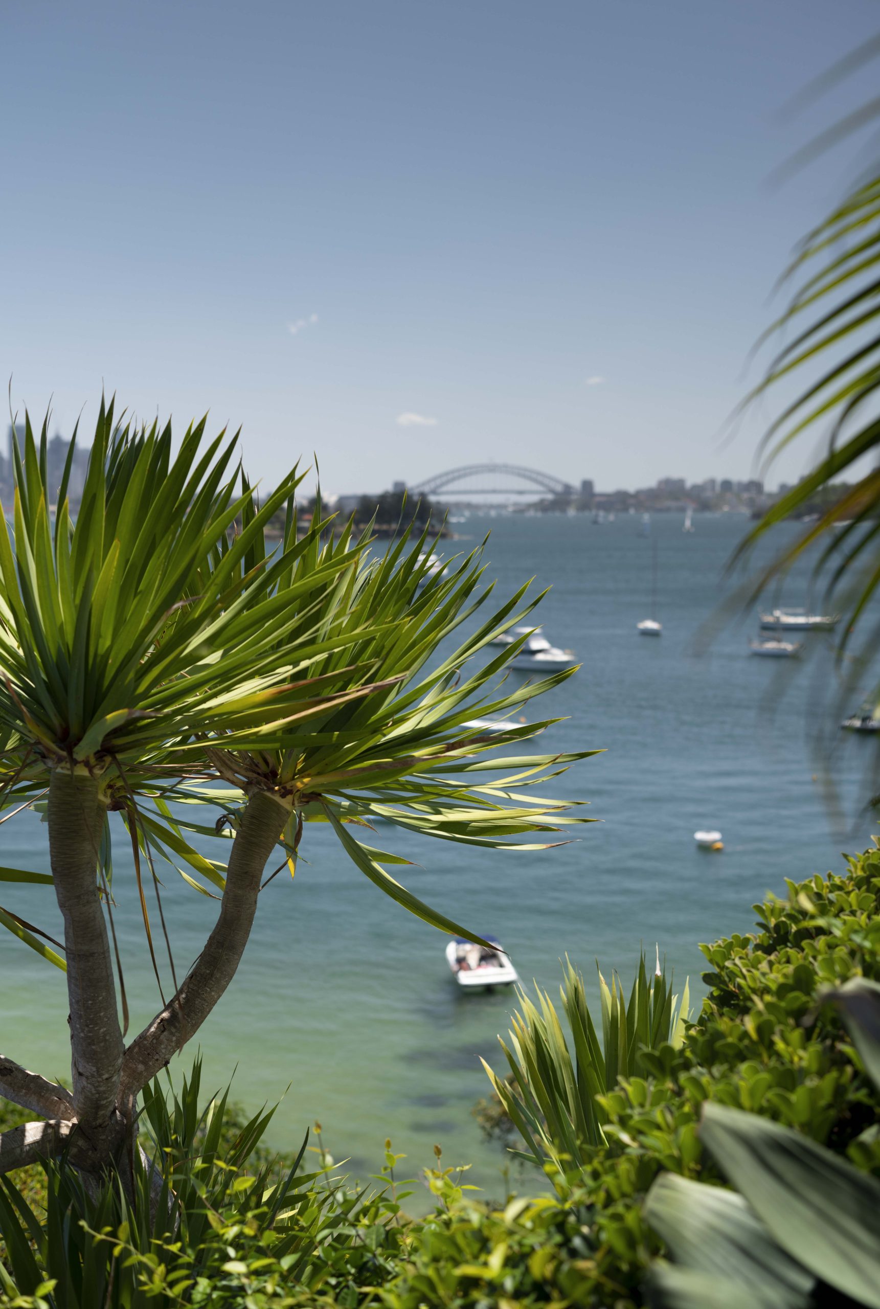 An elegant ocean front garden enjoys premium views of Sydney’s Harbour Bridge. Hardwearing succulents provide privacy and protection from the elements.