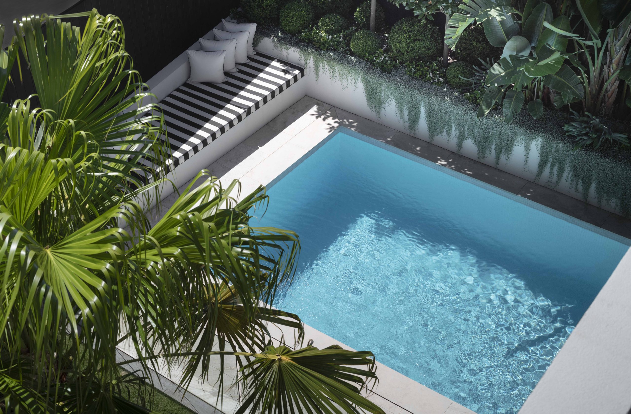 Rectangular pool with limestone coping is at home amongst architecture and environment. Highlighting indoor-outdoor living this garden takes on an LA / Palm Springs-like design philosophy.