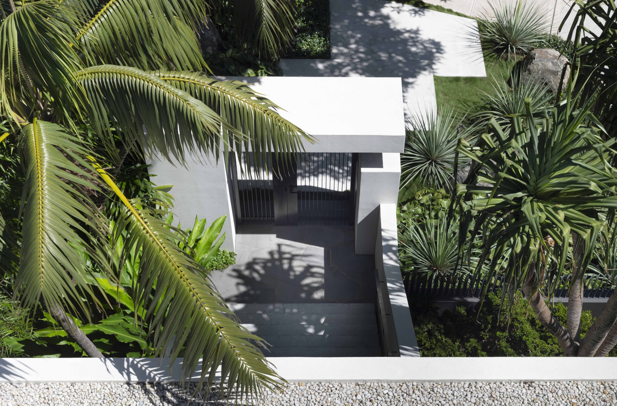 Floating concrete pads navigate layers of lush planting while mature plans frame the entry stair.