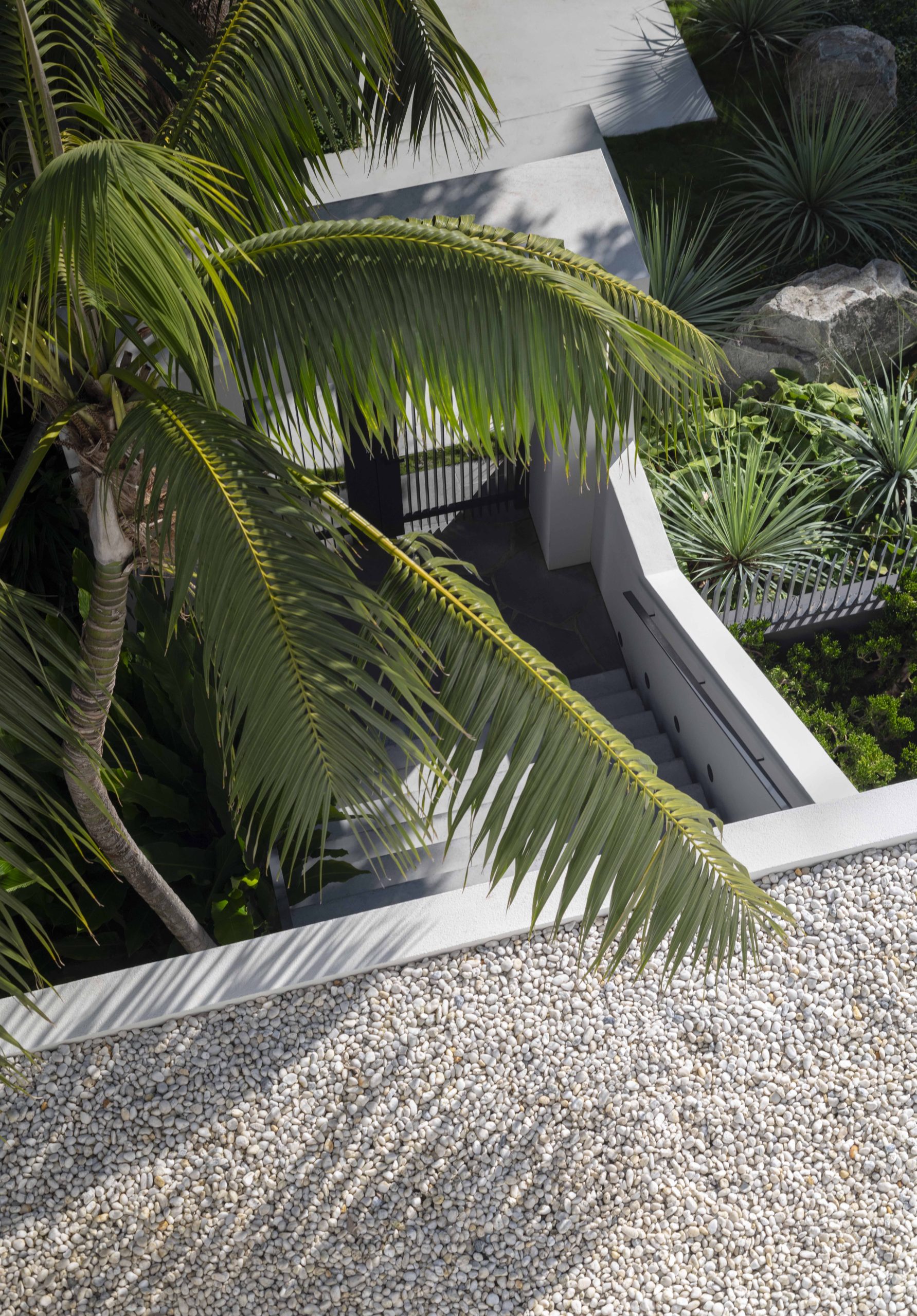 Floating concrete pads navigate layers of lush planting while mature plans frame the entry stair.