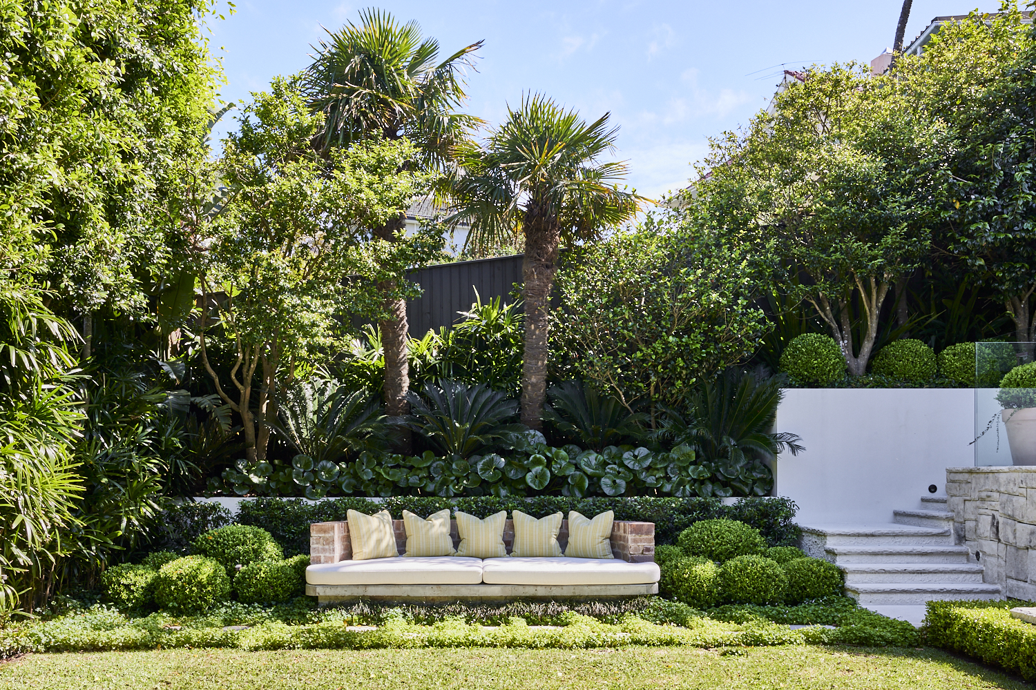 A vibrant green garden with towering camellia trees. A build in day bed sits on green lawn with sandstone steppers.