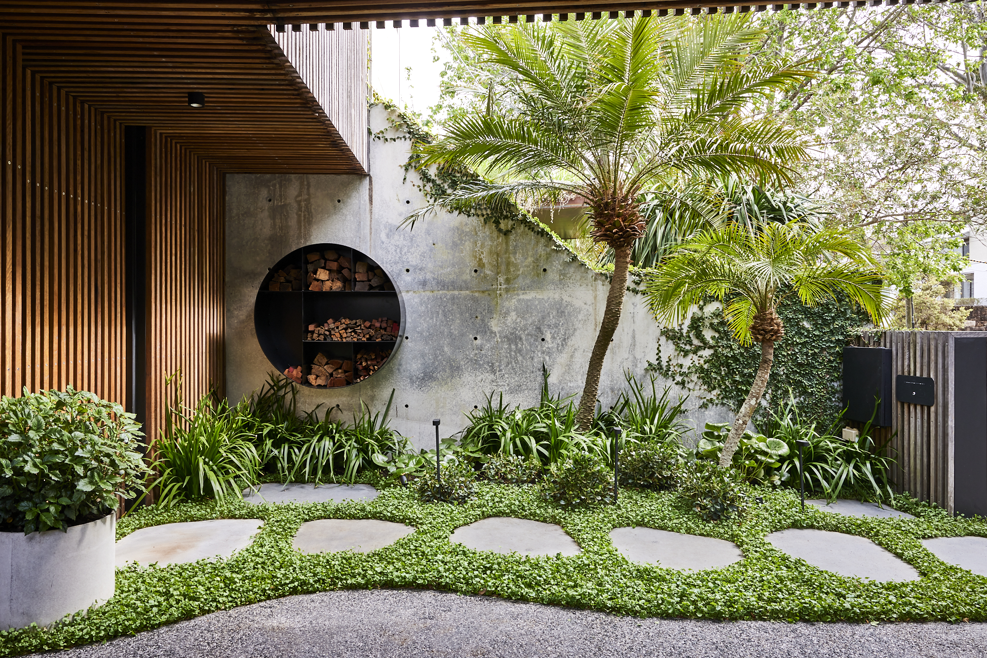 Carlotta House — the plant palette for our new project, Carlotta House combines a mixture of creeping vines, swaying palms, and tactile ground covers, softening the finish of this modern home, adding an element of lushness to the entrance. ⁠ ⁠ Featured species include, Phoenix Roebeleni, Ficus Pumila, Rhaphiolepis Oriental Pearl, Ligularia Reniformis, Dichondra Repens, Neomarica Gracilis.⁠ ⁠