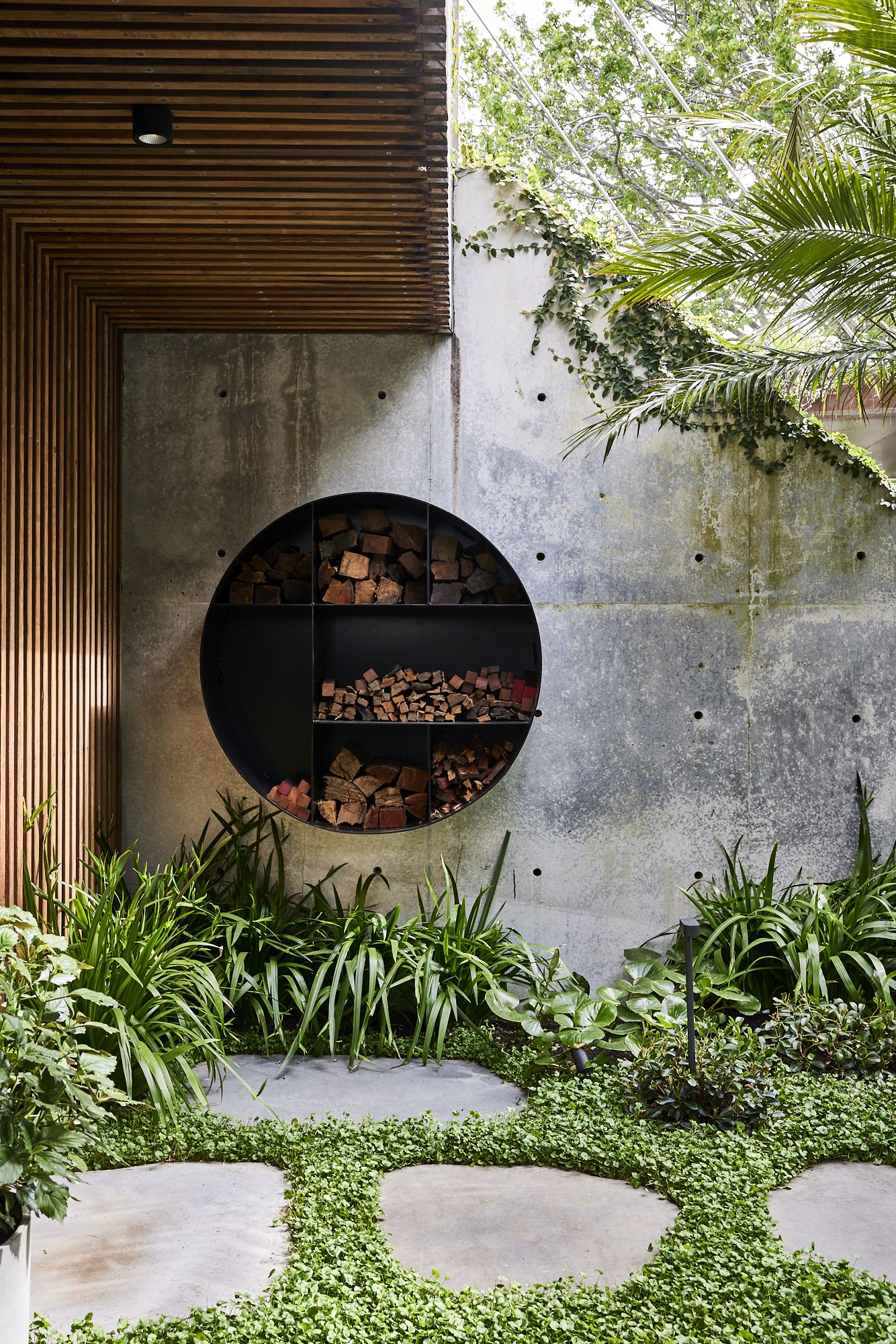 Carlotta House — the plant palette for our new project, Carlotta House combines a mixture of creeping vines, swaying palms, and tactile ground covers, softening the finish of this modern home, adding an element of lushness to the entrance. ⁠ ⁠ Featured species include, Phoenix Roebeleni, Ficus Pumila, Rhaphiolepis Oriental Pearl, Ligularia Reniformis, Dichondra Repens, Neomarica Gracilis.⁠ ⁠