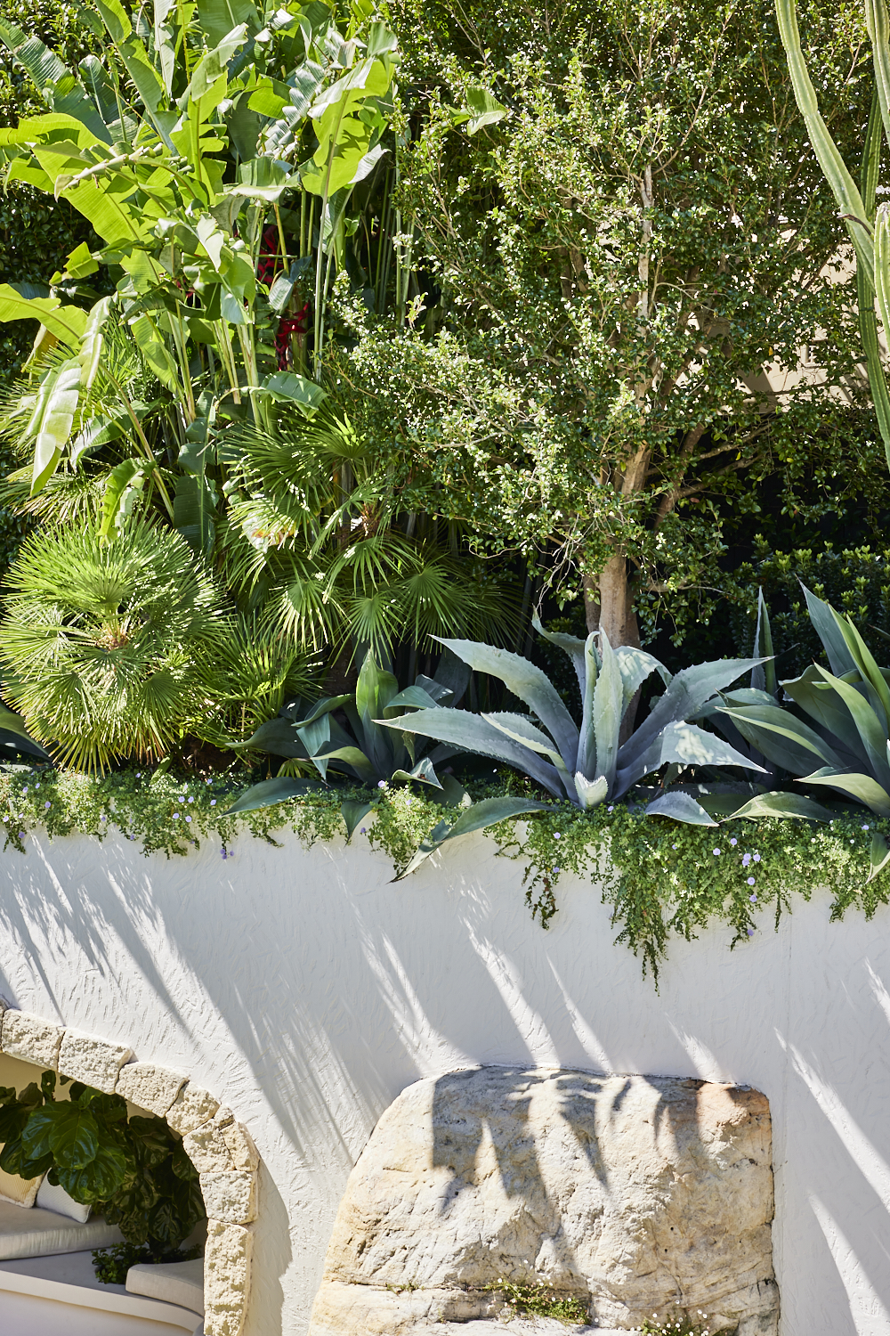 Mediterranean-style garden