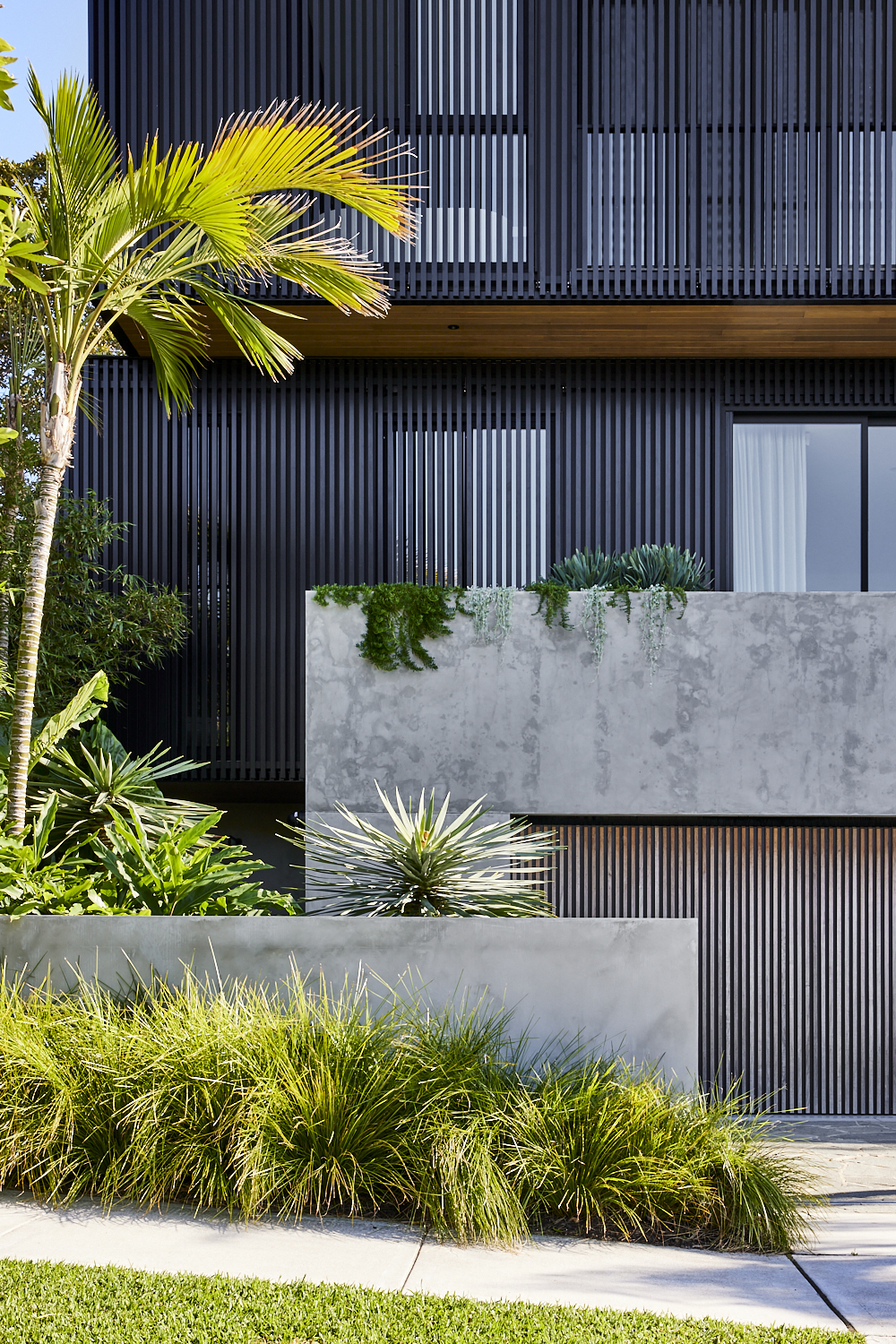 Palm trees and succulents by Wyer & Co soften the masculine architectural home.