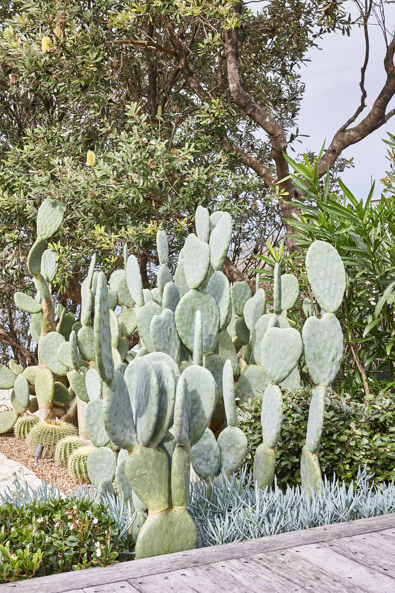 Silver tones and sculptural forms offset a palette of natural materials.