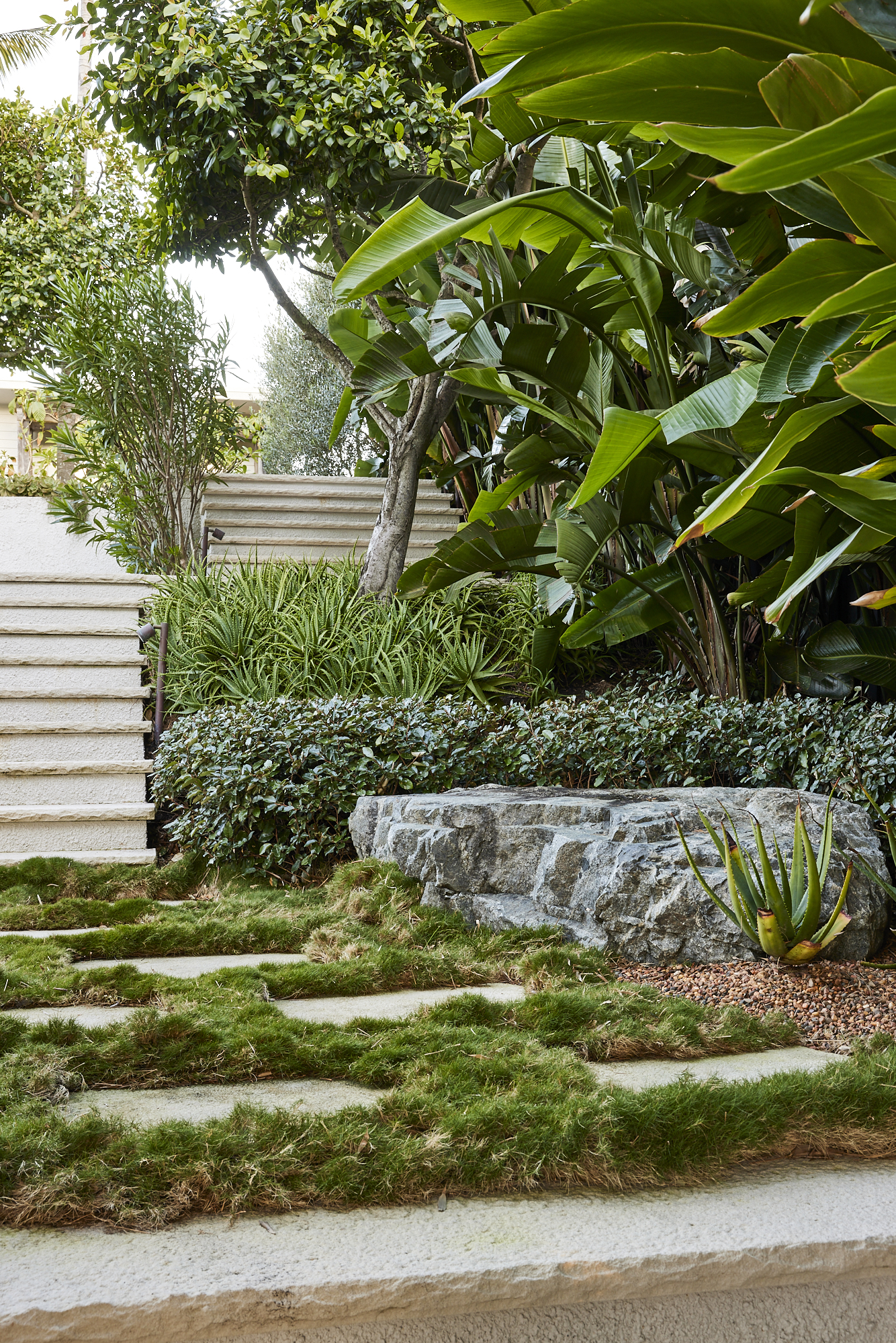 Sandstone stairs leading through a vibrant green native Australian garden.