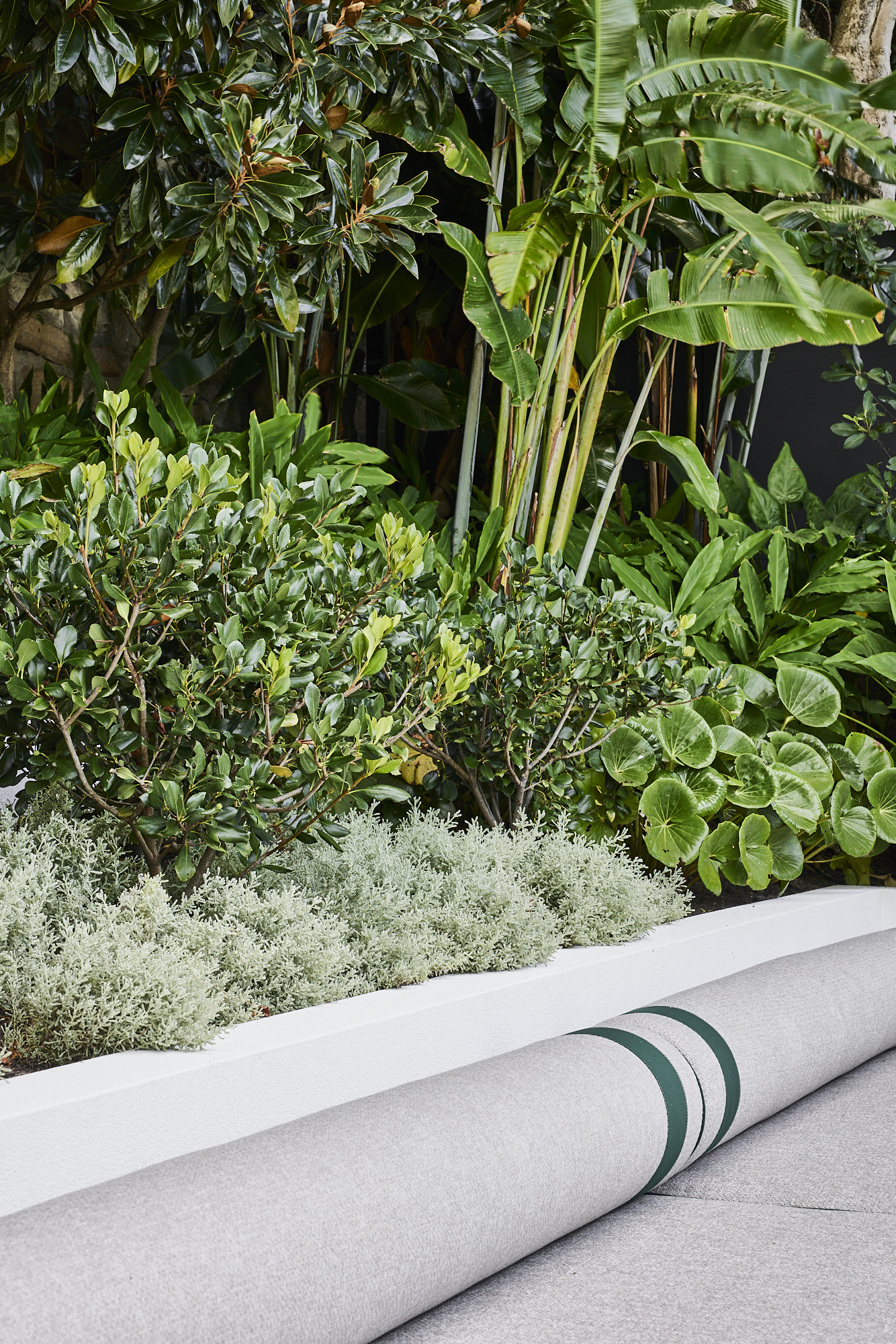 Layers of ground cover planting and mid level shrubs in varied tones of green create an undulating garden bed faming the day bad and pool area.