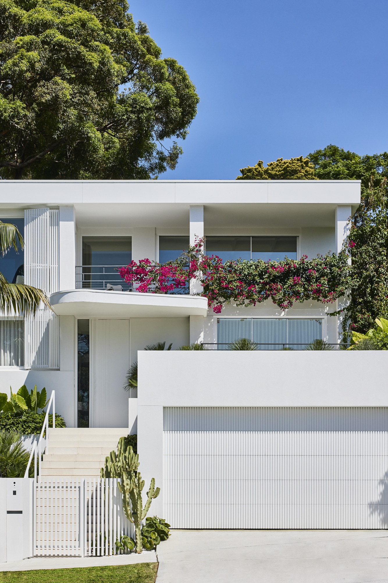 Street view of a beautiful white century home surrounded by a lush green garden, including bring pink bougainvillea, Howea palms, tactile grasses and cactus framing the stairs.