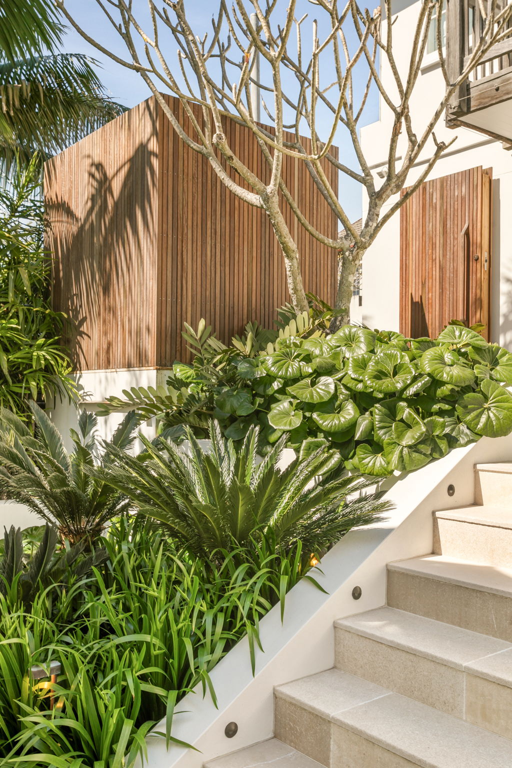 Light stone stairs and a lust garden bed