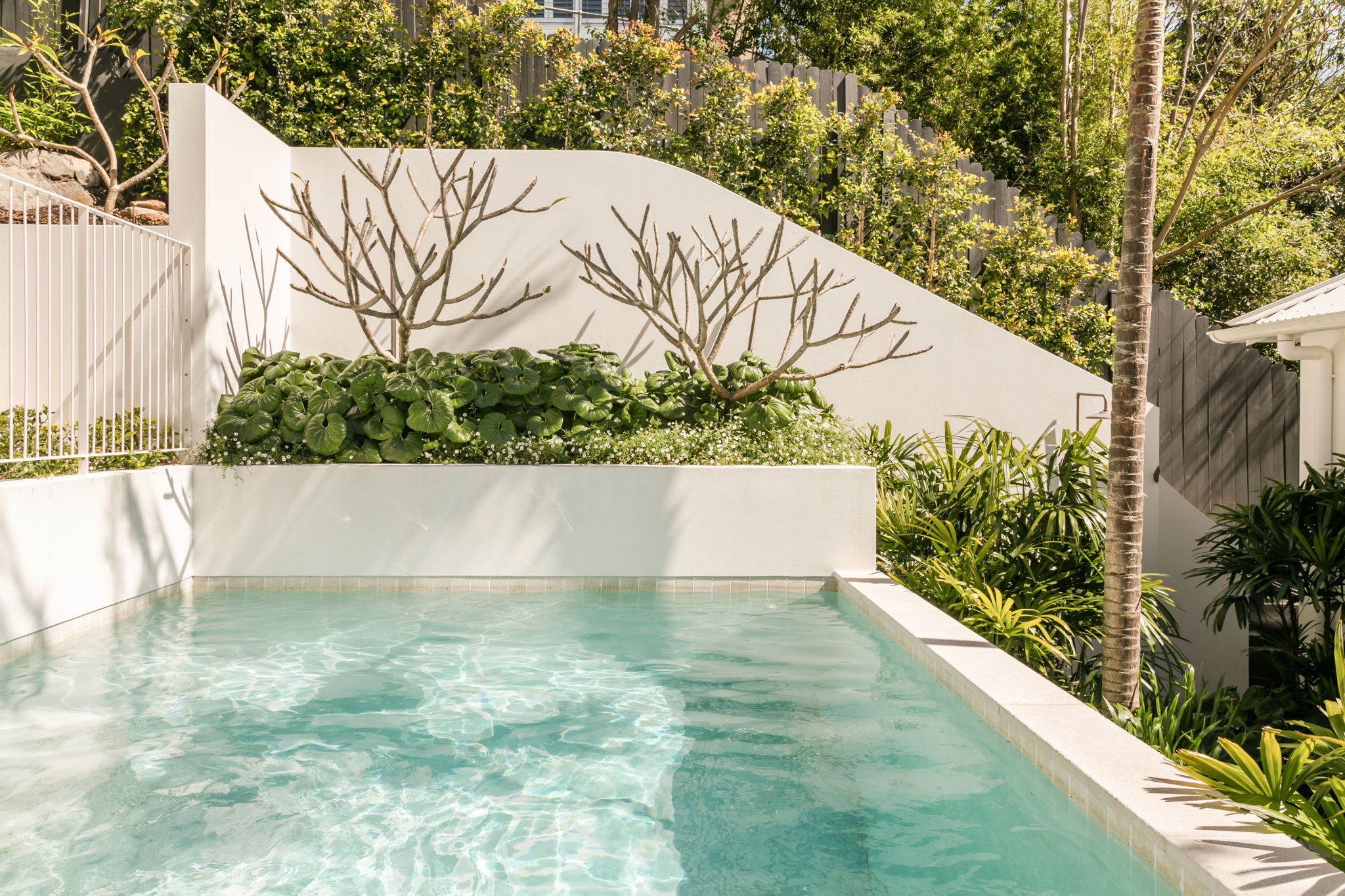 24 Wolaroi Cres Tamarama 09